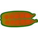 download Vegetables Set clipart image with 315 hue color