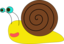 Snail