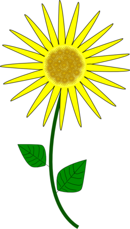 Flower Sunflower