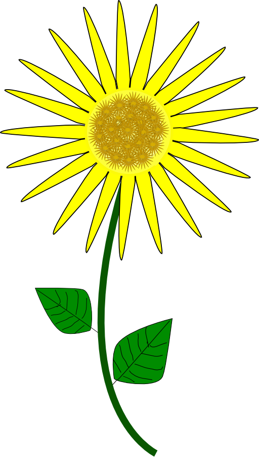 Flower Sunflower