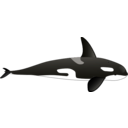 download Orca clipart image with 180 hue color