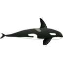 download Orca clipart image with 225 hue color