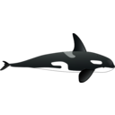 download Orca clipart image with 315 hue color