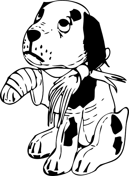 Sad Dog With A Broken Leg