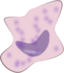 Macrophage