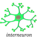 download Neuron Interneuron clipart image with 90 hue color