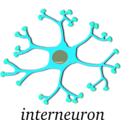 download Neuron Interneuron clipart image with 135 hue color