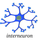 download Neuron Interneuron clipart image with 180 hue color