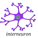 download Neuron Interneuron clipart image with 225 hue color