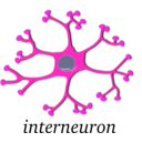 download Neuron Interneuron clipart image with 270 hue color