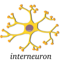 Neuron Interneuron