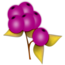 download Red Berry clipart image with 315 hue color
