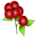 Red Berry