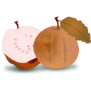 download Guava clipart image with 315 hue color