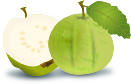 Guava