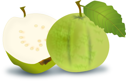 Guava