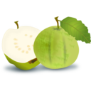 download Guava clipart image with 0 hue color