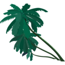 download Palm Trees clipart image with 90 hue color