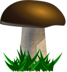 Mushroom Grybas