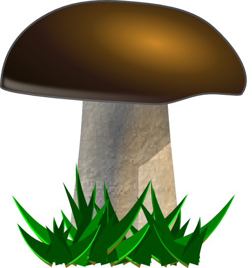 Mushroom Grybas