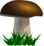 Mushroom Grybas