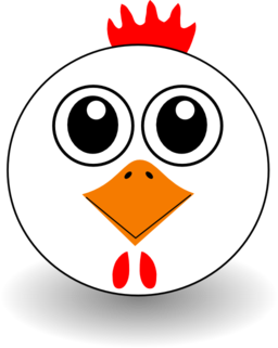 Funny Chicken Face Cartoon