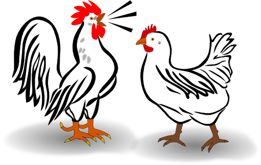 Rooster And Chicken