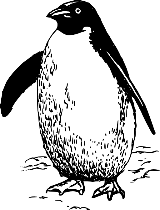 Penguin
