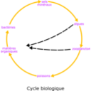 download Eutrophisation Cycle clipart image with 45 hue color