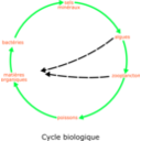 download Eutrophisation Cycle clipart image with 135 hue color