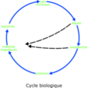 download Eutrophisation Cycle clipart image with 225 hue color