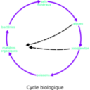 download Eutrophisation Cycle clipart image with 270 hue color