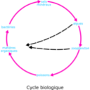 download Eutrophisation Cycle clipart image with 315 hue color