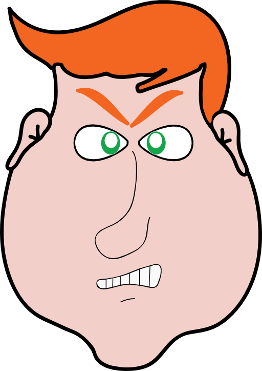 Angry Man Orange Hair