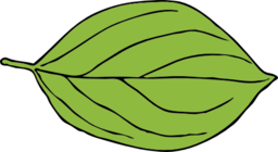 Oval Leaf 2