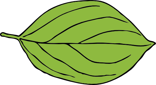 Oval Leaf 2