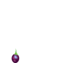 Brinjal