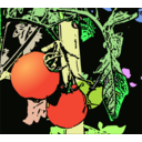 Illustration Tomaten