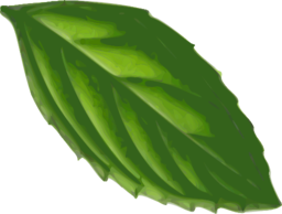 Mint Leaf Traced