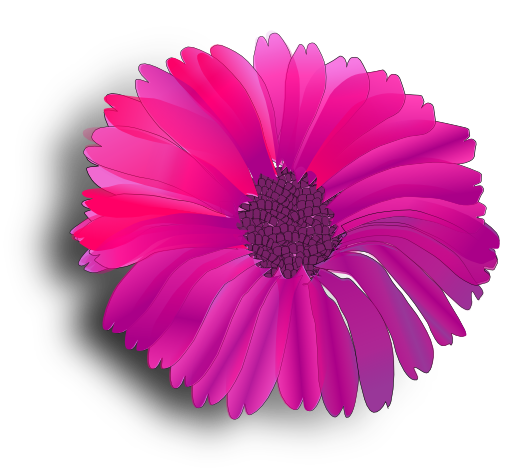 Flower Pink