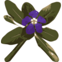 download Vinca clipart image with 315 hue color
