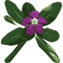download Vinca clipart image with 0 hue color