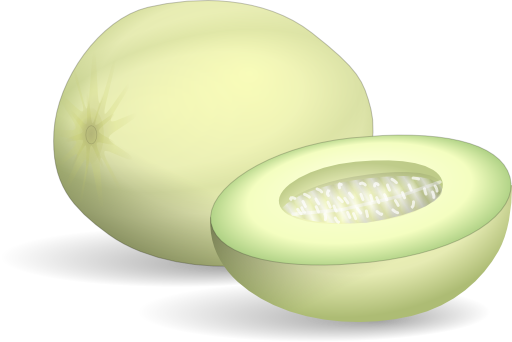 Honeydew Melon