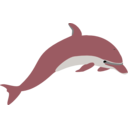 download Dolphin Enrique Meza C 02 clipart image with 135 hue color