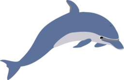 Dolphin Enrique Meza C 02