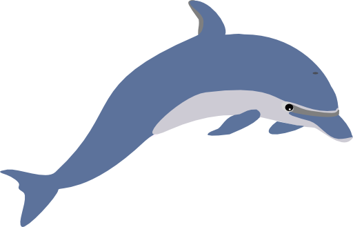 Dolphin Enrique Meza C 02