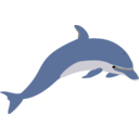 Dolphin Enrique Meza C 02