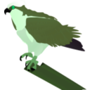 download Osprey clipart image with 90 hue color