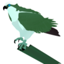 download Osprey clipart image with 135 hue color