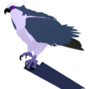 download Osprey clipart image with 225 hue color